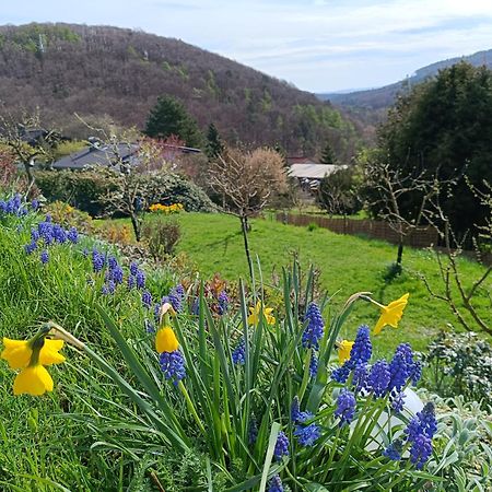 Ferienwohnung Zum Maerchenwald Bergfreiheit Luaran gambar
