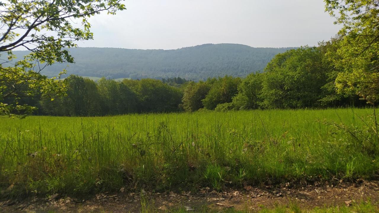 Ferienwohnung Zum Maerchenwald Bergfreiheit Luaran gambar