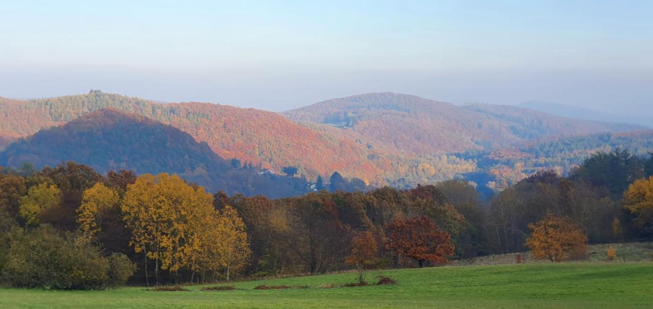 Ferienwohnung Zum Maerchenwald Bergfreiheit Luaran gambar