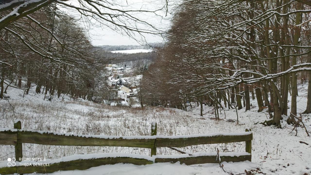 Ferienwohnung Zum Maerchenwald Bergfreiheit Luaran gambar