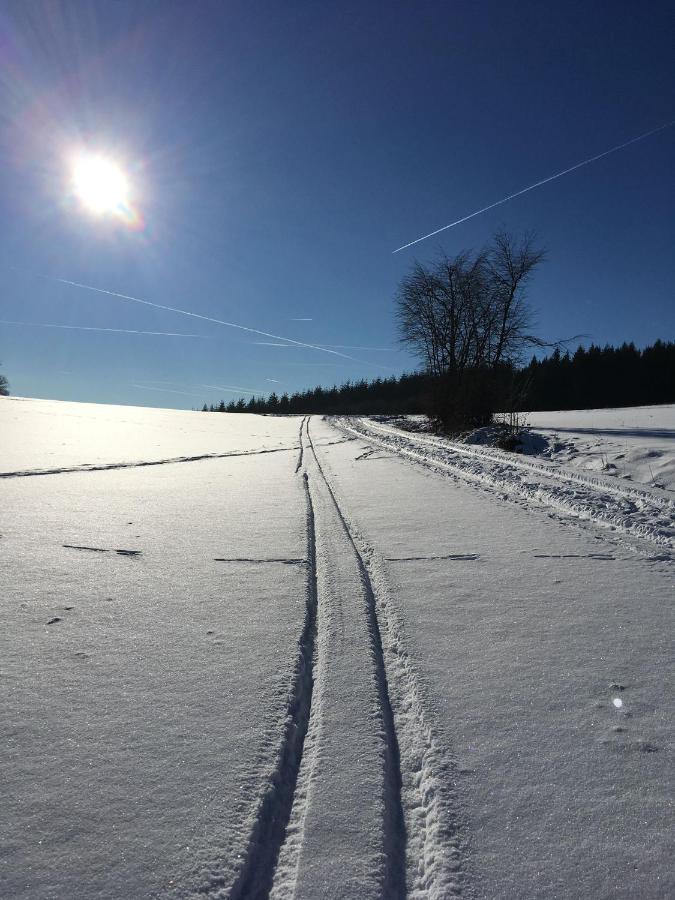 Ferienwohnung Zum Maerchenwald Bergfreiheit Luaran gambar