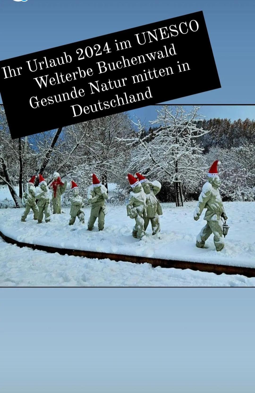 Ferienwohnung Zum Maerchenwald Bergfreiheit Luaran gambar