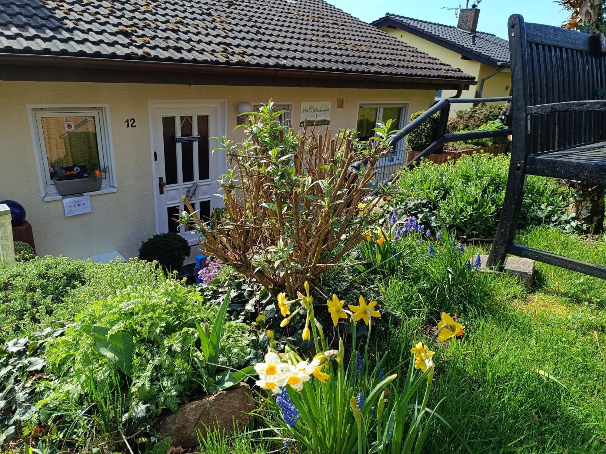 Ferienwohnung Zum Maerchenwald Bergfreiheit Luaran gambar