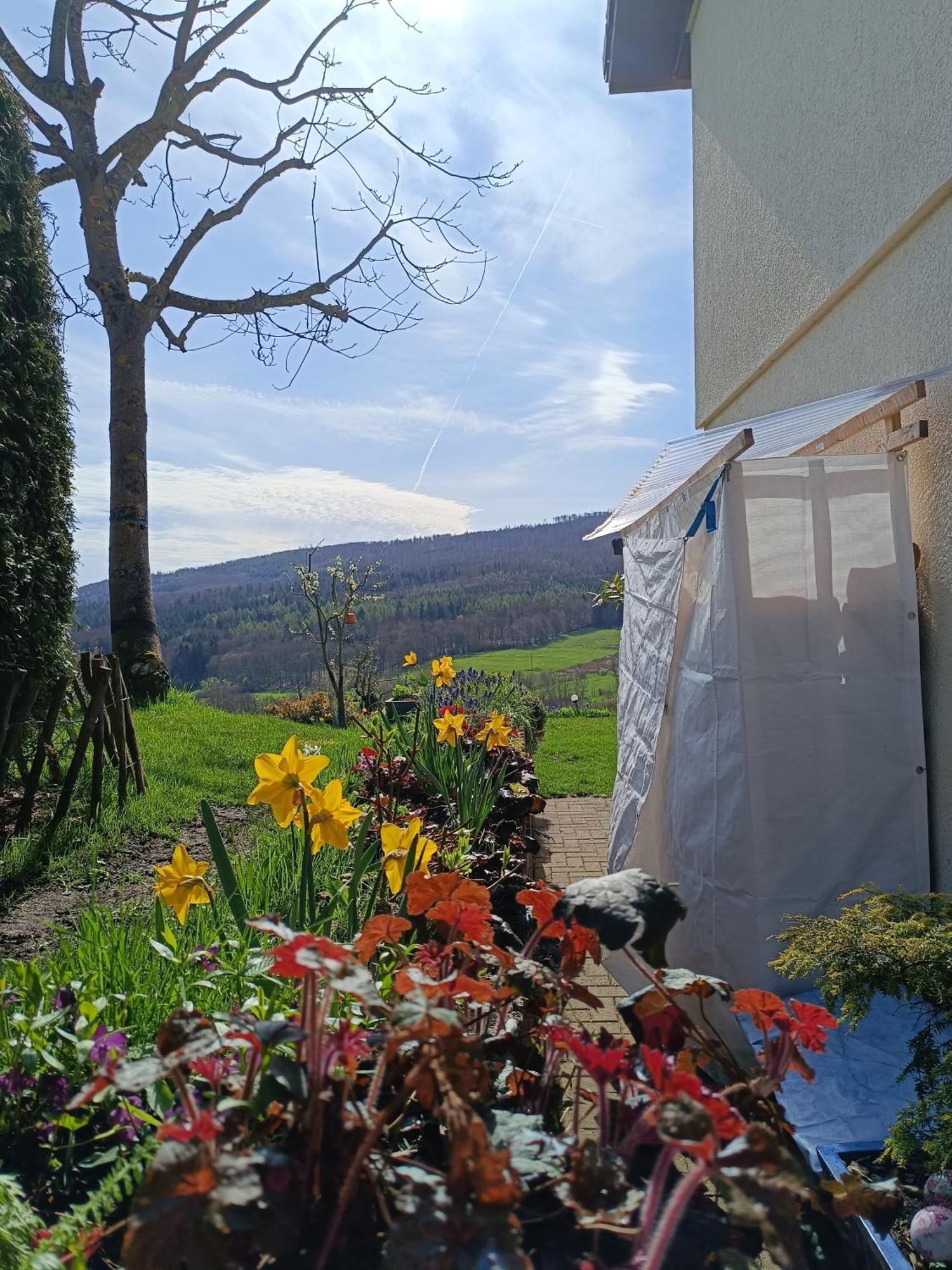 Ferienwohnung Zum Maerchenwald Bergfreiheit Luaran gambar